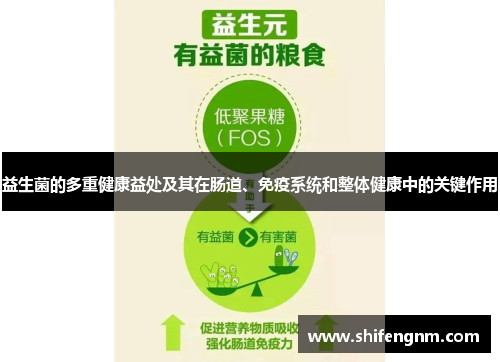 益生菌的多重健康益处及其在肠道、免疫系统和整体健康中的关键作用