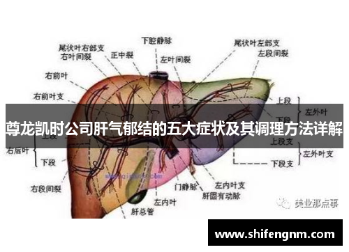 尊龙凯时公司肝气郁结的五大症状及其调理方法详解